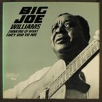 Big Joe Williams - Thinking of What They Did to Me / Arhoolie LP-1053